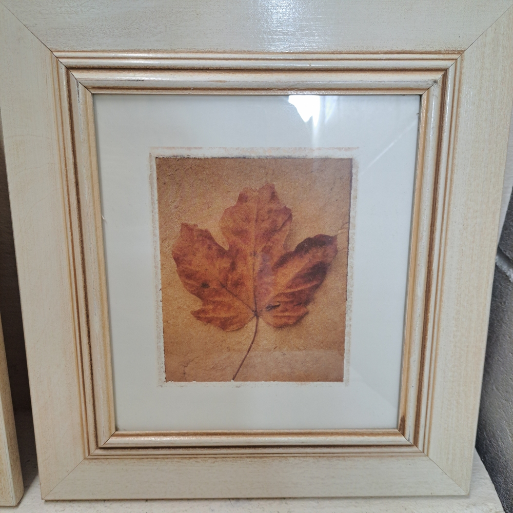 Deborah Schenck Framed Autumn Leaf Prints Wall Art In Blonde Wood Frame Set - Picture 3 of 9